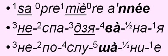 dliteln_2.jpg